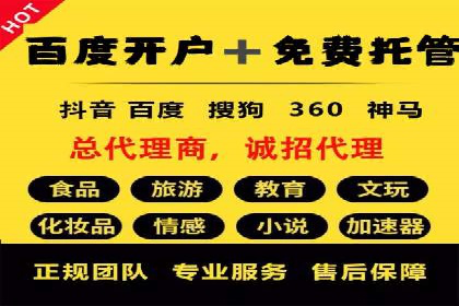 竞价广告的投放策略与效果评估——以一成功企业为例